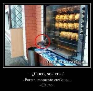 - ¿Coco, sos vos?