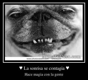 ♥ La sonrisa se contagia ♥