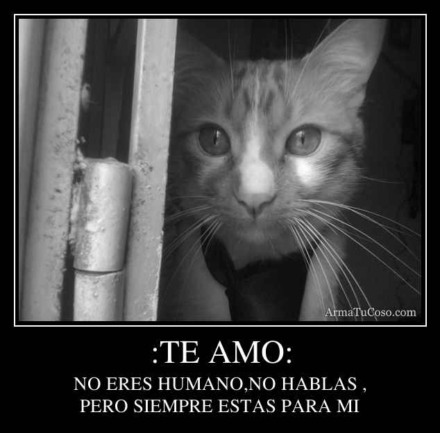 :TE AMO: