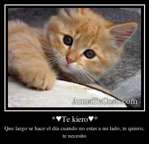 *♥Te kiero♥*