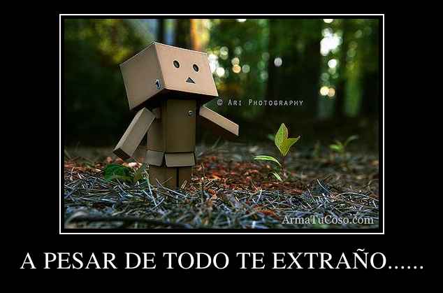 A PESAR DE TODO TE EXTRAÑO......