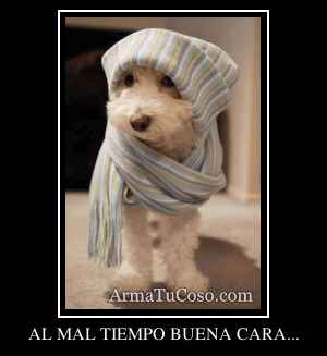 AL MAL TIEMPO BUENA CARA...