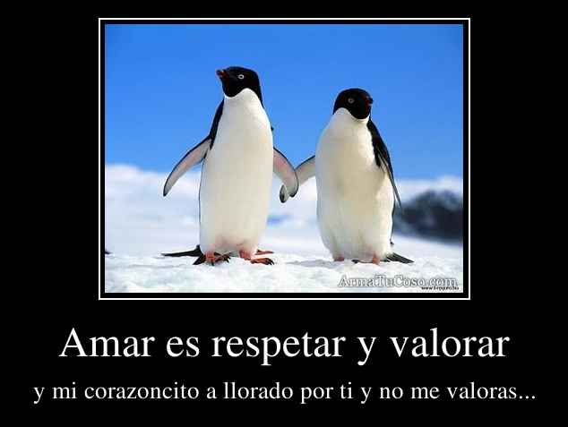 Amar es respetar y valorar