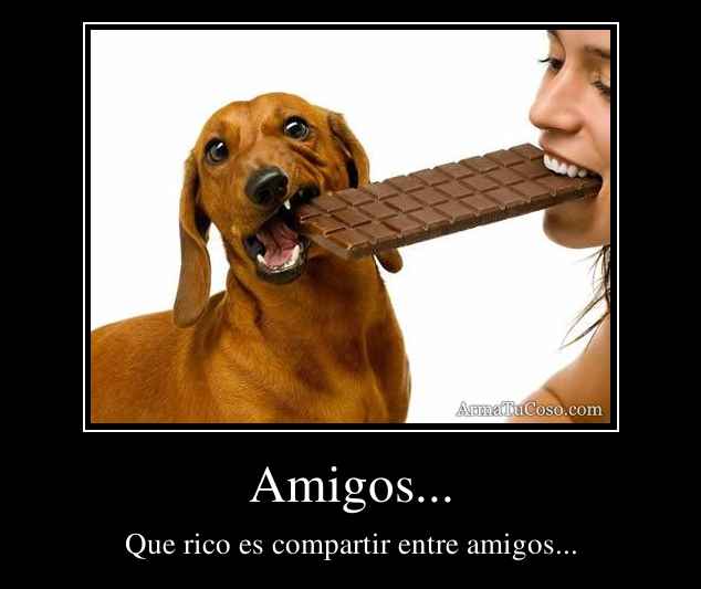 Amigos...