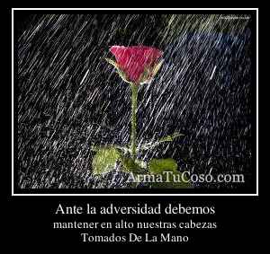 Ante la adversidad debemos