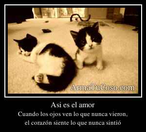 Asi es el amor
