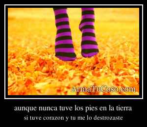 aunque nunca tuve los pies en la tierra