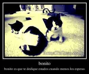 bonito