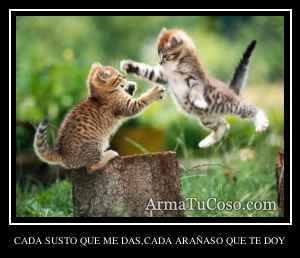 CADA SUSTO QUE ME DAS,CADA ARAÑASO QUE TE DOY