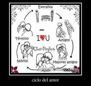 ciclo del amor