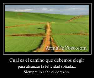 Cuál es el camino que debemos elegir