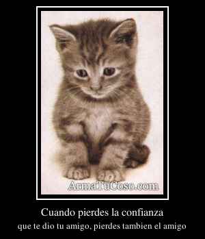 Cuando pierdes la confianza