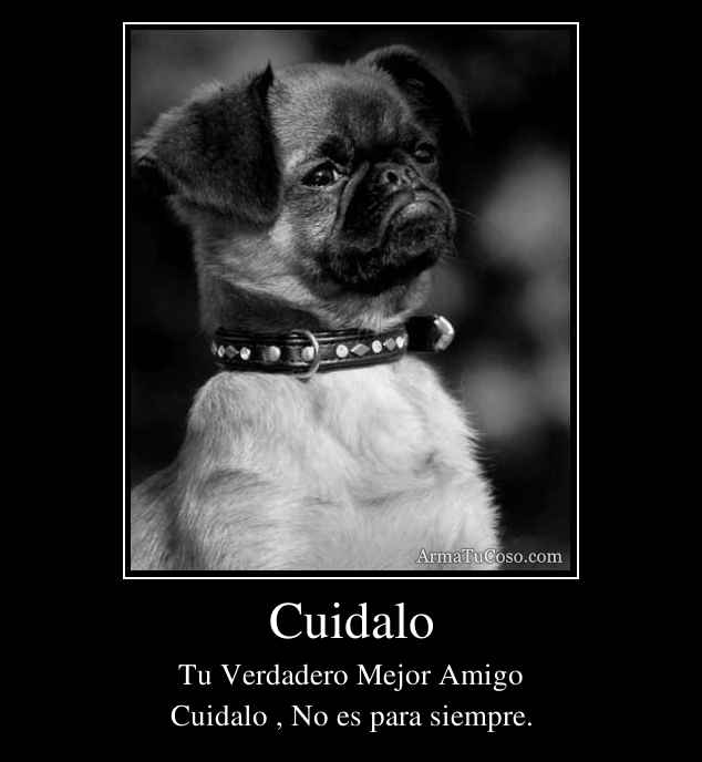 Cuidalo
