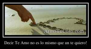 Decir Te Amo no es lo mismo que un te quiero!