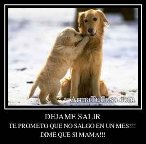 DEJAME SALIR