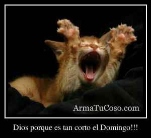 Dios porque es tan corto el Domingo!!!