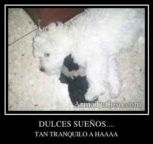 DULCES SUEÑOS....