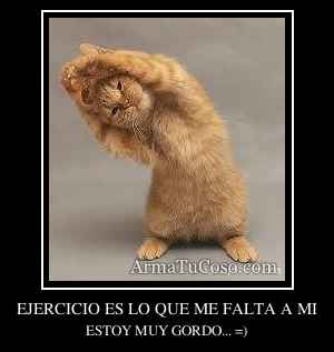 EJERCICIO ES LO QUE ME FALTA A MI