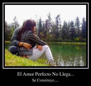 El Amor Perfecto No Llega...