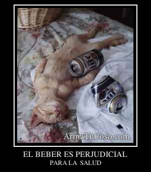 EL BEBER ES PERJUDICIAL