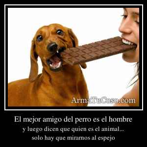 El mejor amigo del perro es el hombre