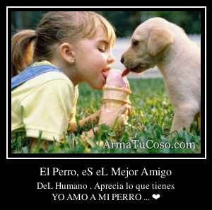 El Perro, eS eL Mejor Amigo