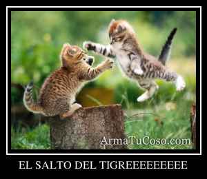 EL SALTO DEL TIGREEEEEEEEE
