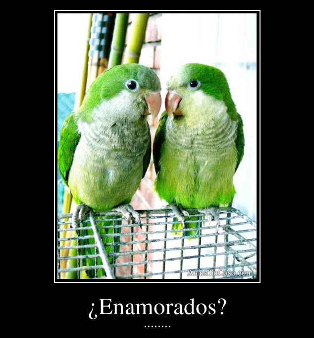 ¿Enamorados?
