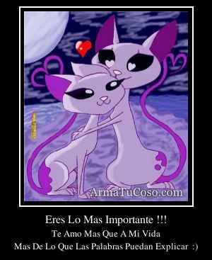 Eres Lo Mas Importante !!!