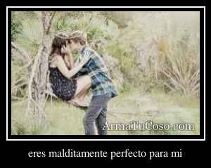 eres malditamente perfecto para mi