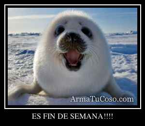 ES FIN DE SEMANA!!!!