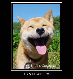 Es SABADO!!!