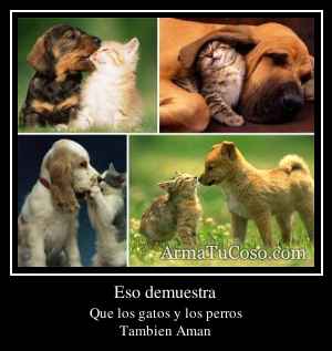 Eso demuestra