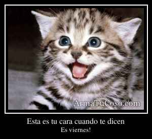 Esta es tu cara cuando te dicen