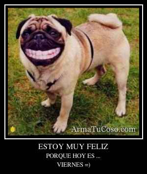 ESTOY MUY FELIZ