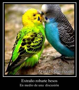 Extraño robarte besos