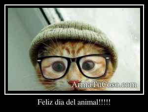 Feliz dia del animal!!!!!