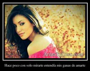 Hace poco con solo mirarte entendía mis ganas de amarte