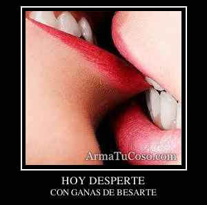 HOY DESPERTE