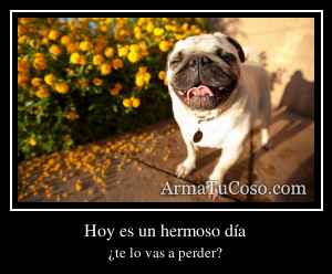Hoy es un hermoso día