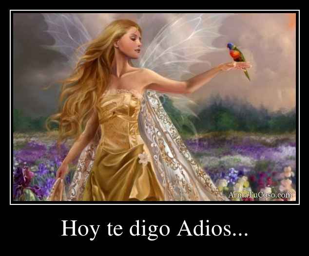 Hoy te digo Adios...