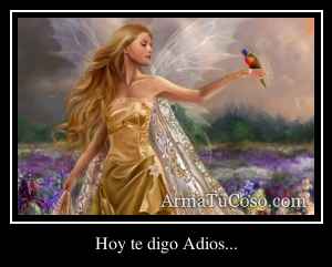 Hoy te digo Adios...