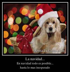La navidad...