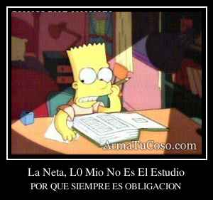 La Neta, L0 Mio No Es El Estudio