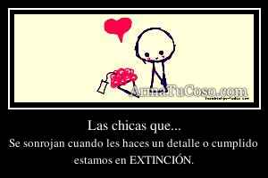 Las chicas que...
