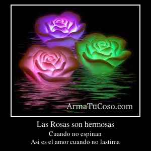 Las Rosas son hermosas