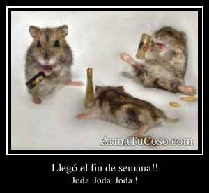 Llegó el fin de semana!!