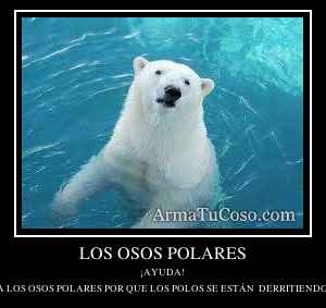 LOS OSOS POLARES
