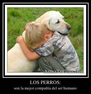 LOS PERROS: