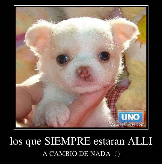 los que SIEMPRE estaran ALLI